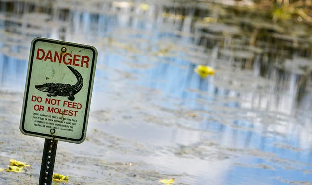 Florida: Man dies in alligator-filled lake while looking for frisbees - Vimarsana News