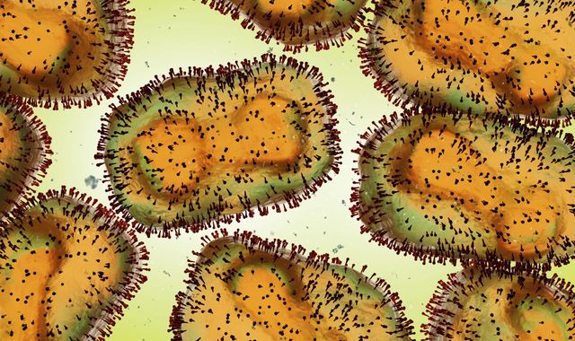 Monkeypox: 36 more cases detected in UK - as virus could become endemic in Europe, health officials warn - Vimarsana News