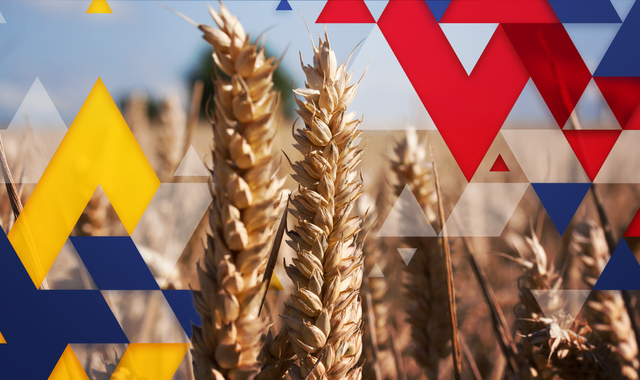 Ukraine war: Why is Putin's invasion causing a worldwide food crisis and can anything be done? - Vimarsana News