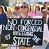 Kürtaj hapları ve adet söktürücüler - aktivistler ABD'deki kürtaj yasaklarına hazırlanıyor