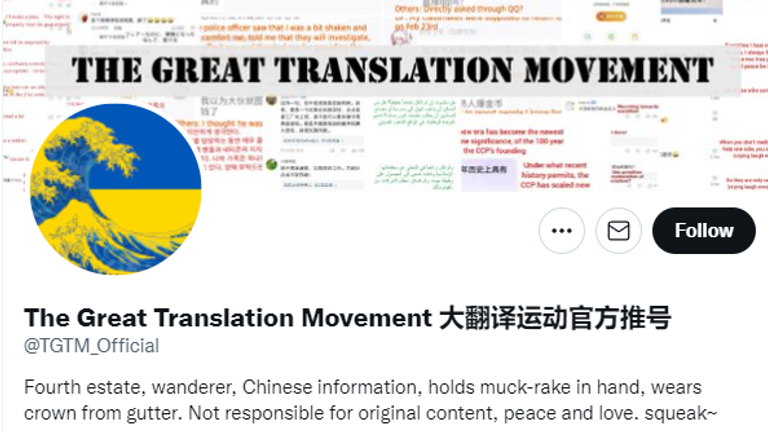 'Chinese people fighting the echo chamber': Why 'despicable'
translation group has angered Beijing