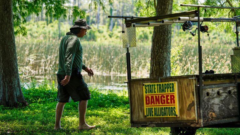 Un chasseur d'alligators embauché par l'État marche près de la zone où un homme a été retrouvé mort après avoir plongé dans l'eau pour récupérer des disques de golf perdus au parc John S. Taylor, le mardi 31 mai 2022 à Largo, en Floride.  (Martha Asencio-Rhin/Tampa Bay Times via AP)
