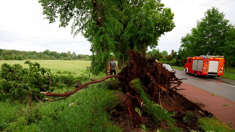 Lippstadt'ta şüpheli bir kasırga sonrasında kökünden sökülmüş bir ağacın yakınında bir itfaiye aracı görülüyor.  Resim: AP