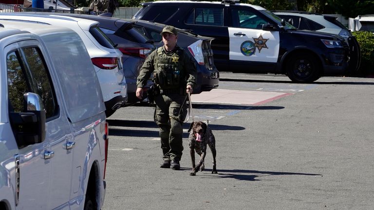 A Bomb Squad officer and his dog checks the grounds the Geneva Presbyterian Church is taped in Laguna Woods, Calif., on Sunday, May 15, 2022 after a fatal shooting. (AP Photo/Damian Dovarganes)