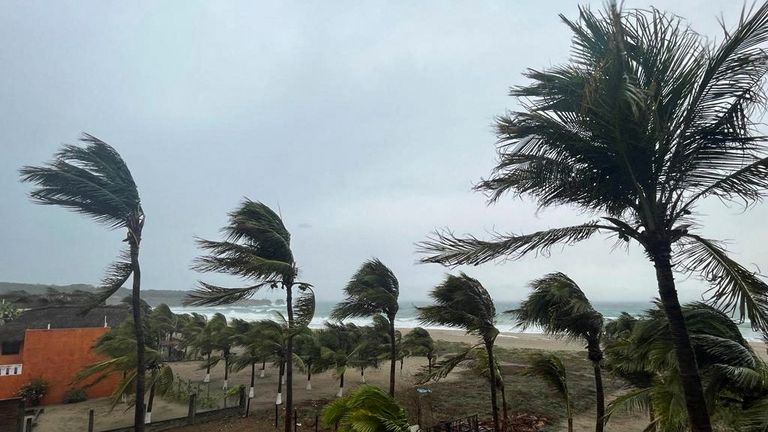 Palm trees sway in the wind as Hurricane Agatha pounds the southern coast of Mexico, in Puerto Escondido, Oaxaca state, Mexico, May 30, 2022. REUTERS/Jose de Jesus Cortes
