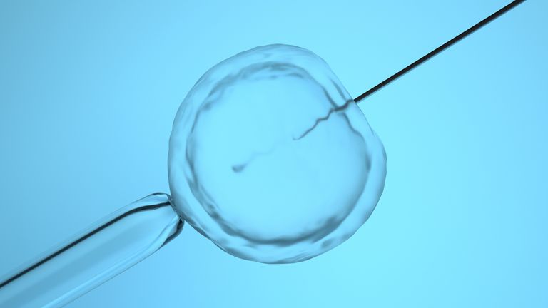 In vitro fertilization or artificial insemination, 3D-rendering stock