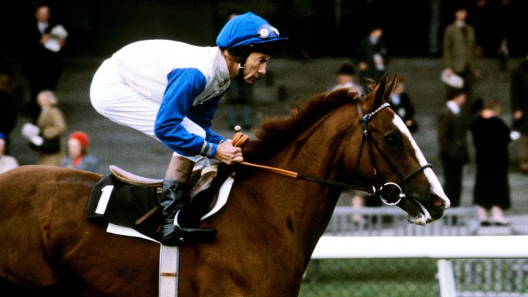 Lester Piggott pictured riding Free Guest in 1985