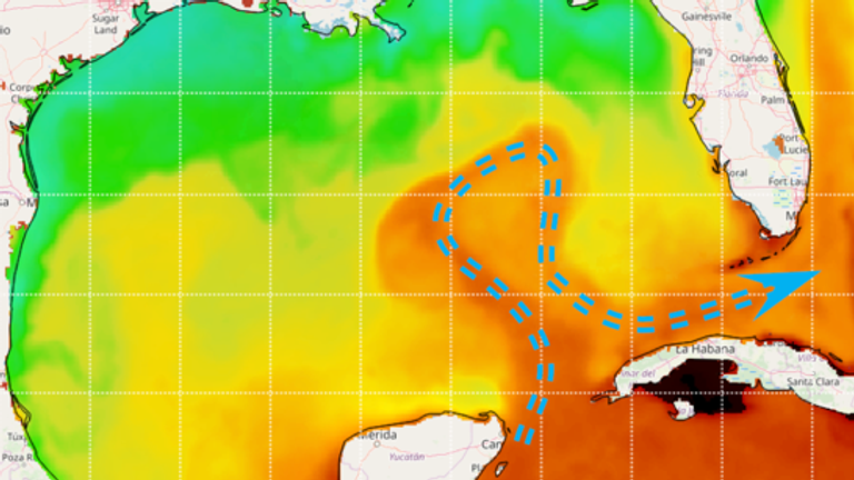 Courant de boucle visible sur la température de surface de la mer observée par satellite.  Photo : NOAA/AOML OceanViewer


