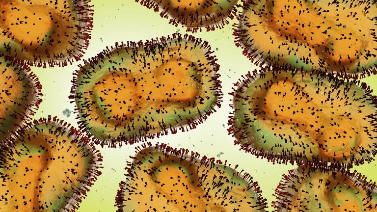 Monkey smallpox virus, close-up of pathogens, infectious diseases from animals to humans