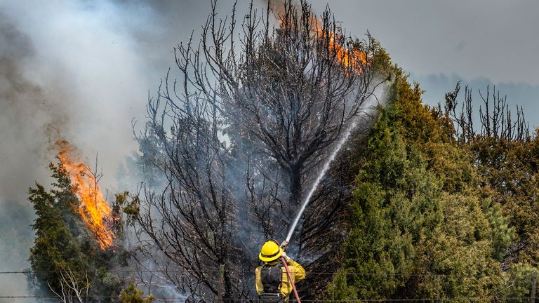 em050522c/a/Pemadam kebakaran memimpin letusan larch di sepanjang NM 283 dekat Las Vegas pada hari Kamis, 5 Mei 2022. Petugas pemadam kebakaran berusaha menahan Calf Canyon/Hermit Peak Fire di jalan.dan jangan biarkan menyeberang  (Jurnal Eddie Moore/Albuquerque)