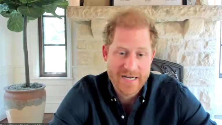 Prince Harry is calling for zoom to help launch an online safety toolkit.