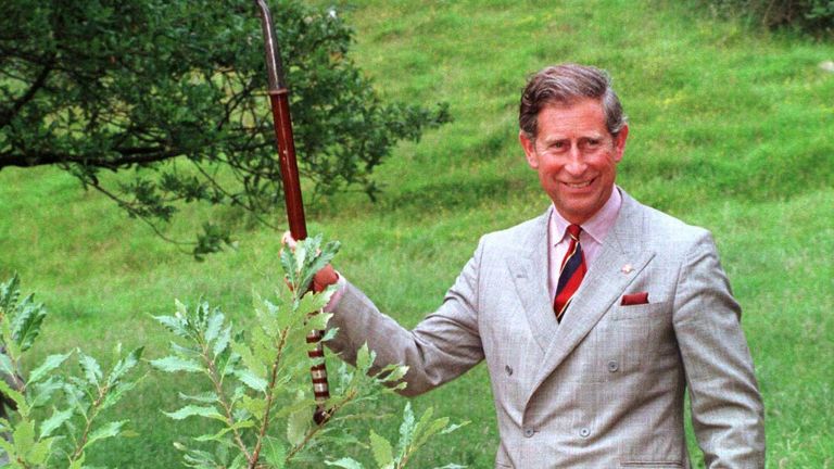 The Prince of Wales holds up his spade and smiles at the crowd after planting a variety of oak tree at Penrice Castle on Gower, south west Wales today (Sunday). Photo by Barry Batchelor/PA.