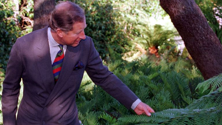 The Prince of Wales examines the foliage of a tree which he has just planted, during a visit to Port Logan Botanic Gardens in Scotland.