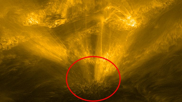 The solar hedgehog, seen circled, is 25,000km across. Pic: ESA