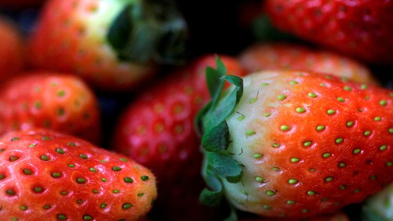 FILE PHOTO: Strawberries are seen in this illustration photo January 29, 2018. Picture taken January 29, 2018. REUTERS/Thomas White/Illustration/File Photo
