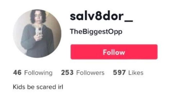 His TikTok profile had usernames seen on his other social accounts. It is not known when he wrote &#39;kids be scared irl&#39; on his page.