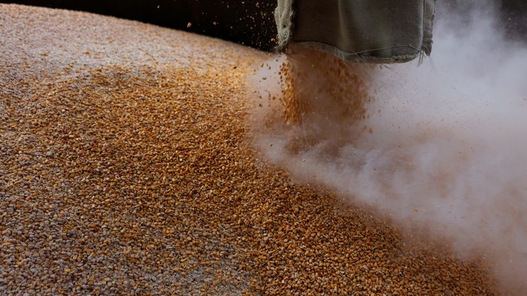 Grain has built up in Ukraine following the invasion of Russia. Pic: Reuters 