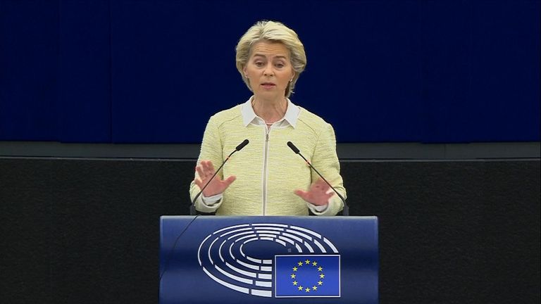European Commission head Ursula von der Leyen