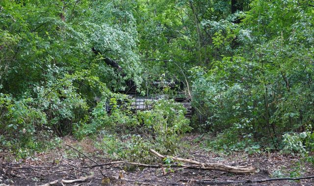 The secret Ukrainian unit hiding tanks in the woods and stealing vehicles from Russian forces - Vimarsana News