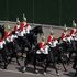 Government taking coronation security threats 'very seriously' after reports rape alarms will be thrown at horses