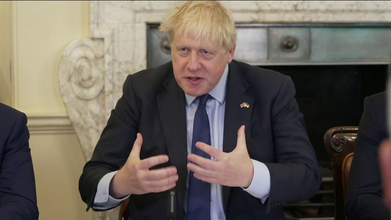 Prime Minister Boris Johnson addresses the Cabinet.