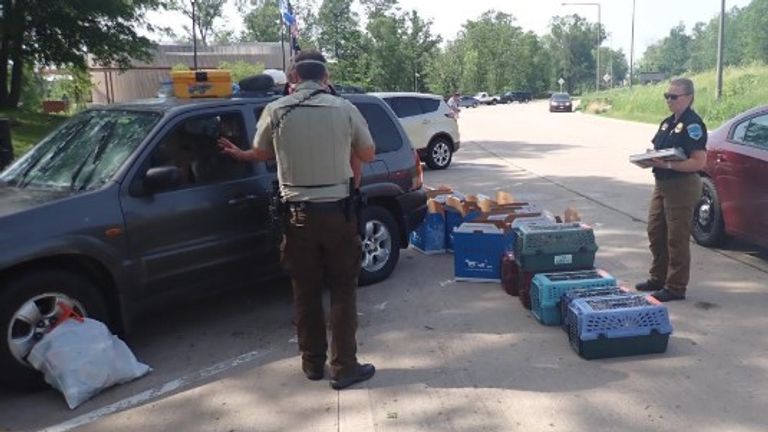 47 cats were saved from an over-heated car. Pic: Animal Humane Society