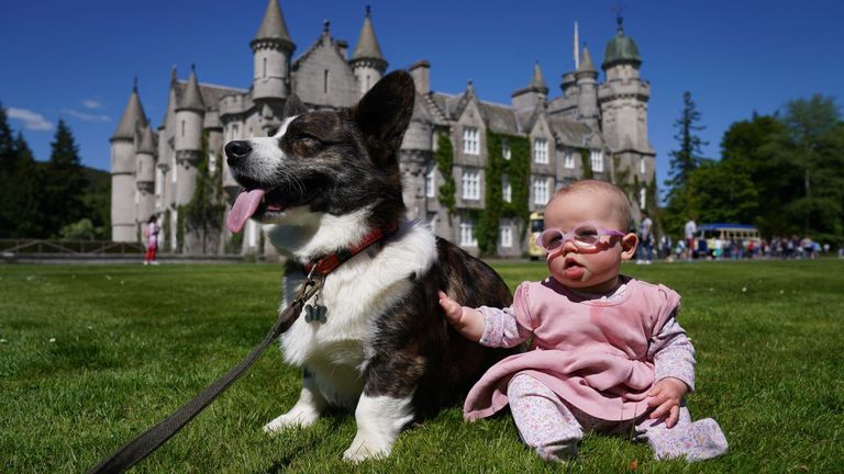 Joy Stephen, 6 months, with her corgi Marvin on the front lawn at Balmoral during an event with the Corgi Society of Scotland to mark the Jubilee