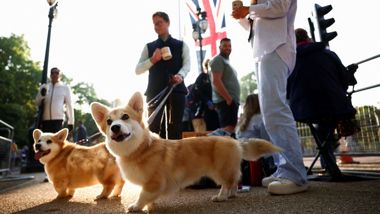 Un uomo cammina con i suoi due cani di nome Chuckles e Bunting lungo il Mall durante i festeggiamenti della regina.  s Platinum Jubilee a Londra, Gran Bretagna, 2 giugno 2022. REUTERS/Henry Nichols