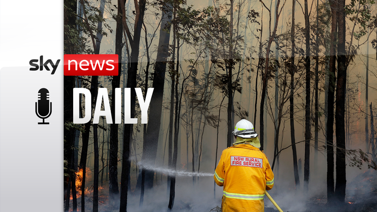 A firefighter manages a controlled burn near Tomerong, Australia, Wednesday, Jan. 8, 2020, in an effort to contain a larger fire nearby. - AP 