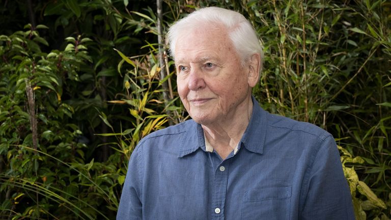 Sir David Attenborough is to be given a second knighthood for services to television broadcasting and conservation.