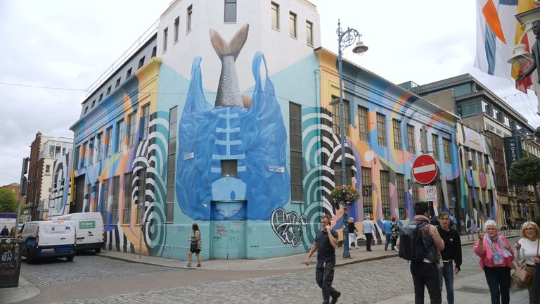 Image from Stephen Murphy, Ireland correspondent on Sir David Attenborough&#39;s mural