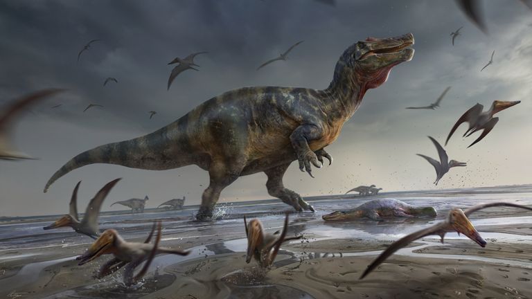EMBARGOED TO 1200 THURSDAY JUNE 9 Undated handout artist impression issued by University of Southampton of a White Rock spinosaurid. The remains of Europe&#39;s largest ever land-based hunter which measured more than 10 metres long and lived 125 million years ago have been found on the Isle of Wight. Issue date: Thursday June 9, 2022.