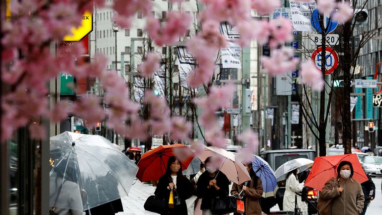 FILE PHOTO: Pedestrians wearing protective face masks, amid the coronavirus disease (COVID-19) pandemic, are seen behind artificial cherry blossom decorations at a shopping district on the first day after the lifting of COVID-19 restrictions imposed on Tokyo and 17 other prefectures, in Tokyo, Japan, March 22, 2022. REUTERS/Kim Kyung-Hoon/File Photo
