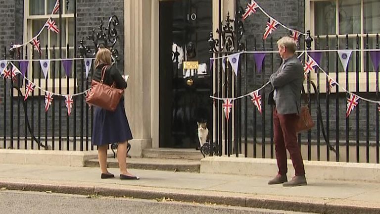 Larry the Downing Street cat was seen posing of pictures as Boris Johnson faced a no confidence vote.