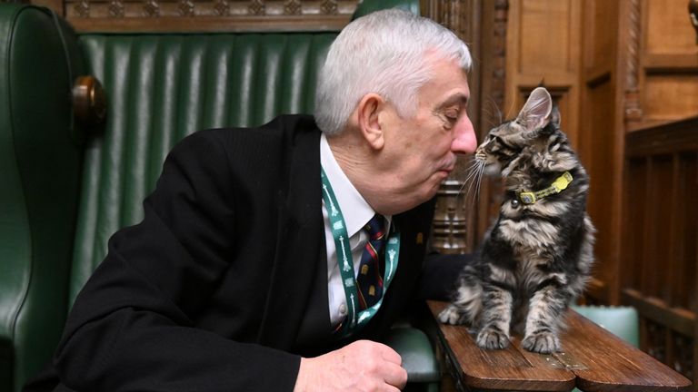 ONE EDITORIAL USE ONLY. NO SALES. NO ARCHIVING. NO ALTERING OR MANIPULATING. NO USE ON SOCIAL MEDIA UNLESS AGREED BY HOC PHOTOGRAPHY SERVICE. MANDATORY CREDIT: UK Parliament/Jessica Taylor Handout photo issued by UK Parliament of Speaker of the House of Commons Sir Lindsay Hoyle with his new kitten Attlee, named after former Labour Prime Minister, Clement Attlee. Issue date: Sunday June 19, 2022. The naming of the four-month-old brown tabby Maine Coon means that Sir Lindsay has two pets named af