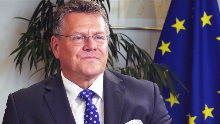 Maros Sefcovic, Vice President of the European Commission