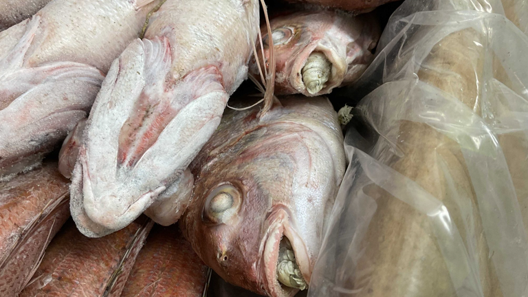 Tongue-eating parasites found in container of fish bound for dining table