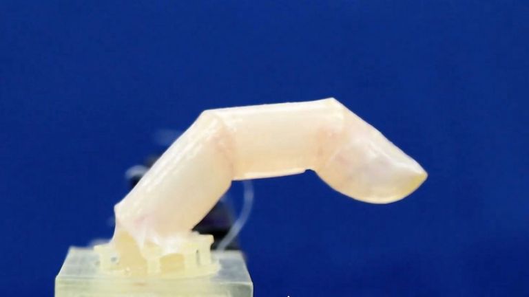 This bending robotic finger is covered in human skin. Pic: PA 