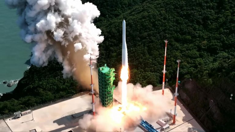 South Korea has launched its first domestically developed space rocket, the science ministry said. 