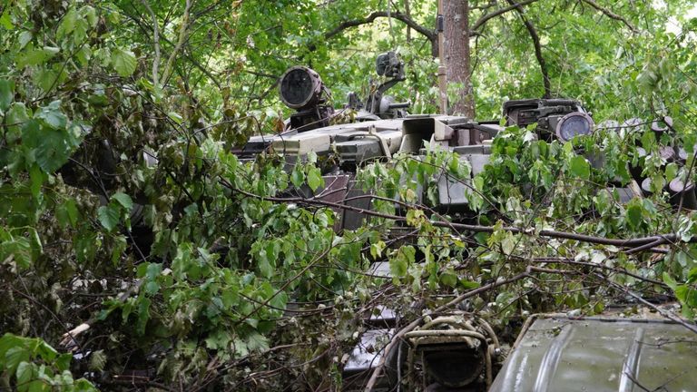 Tank hidden in the woods