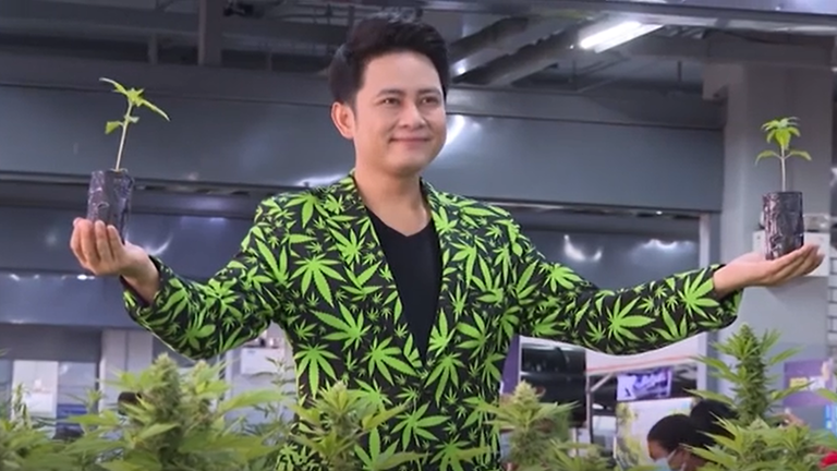 Thailand to distribute 1 million marijuana plants