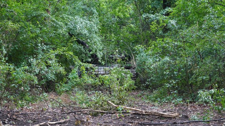 Tank hidden in the woods