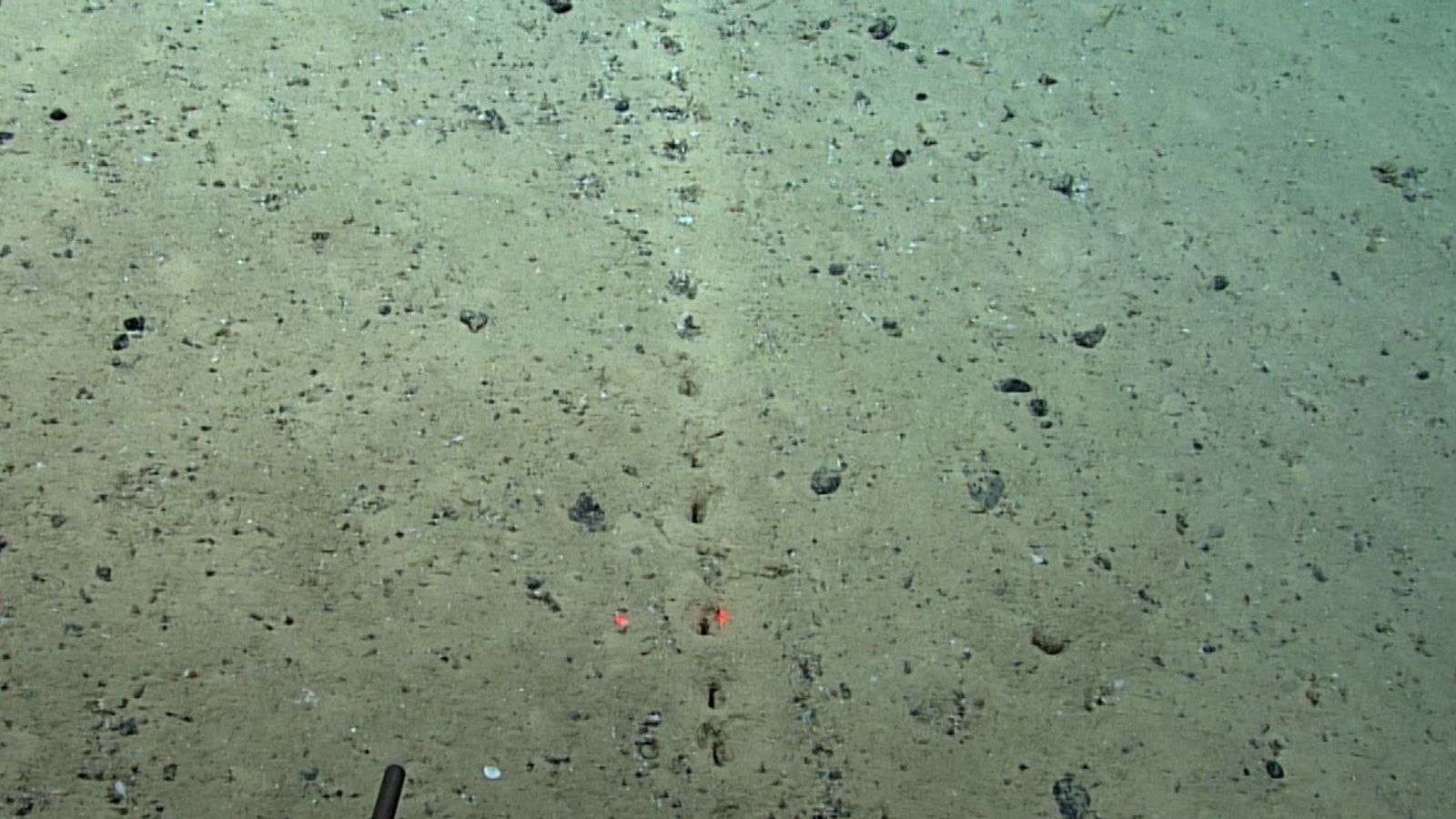 Les images montrent de mystérieux trous “parfaitement alignés” sous l’océan Atlantique – et personne ne sait ce qui les a faits |  Actualités scientifiques et techniques