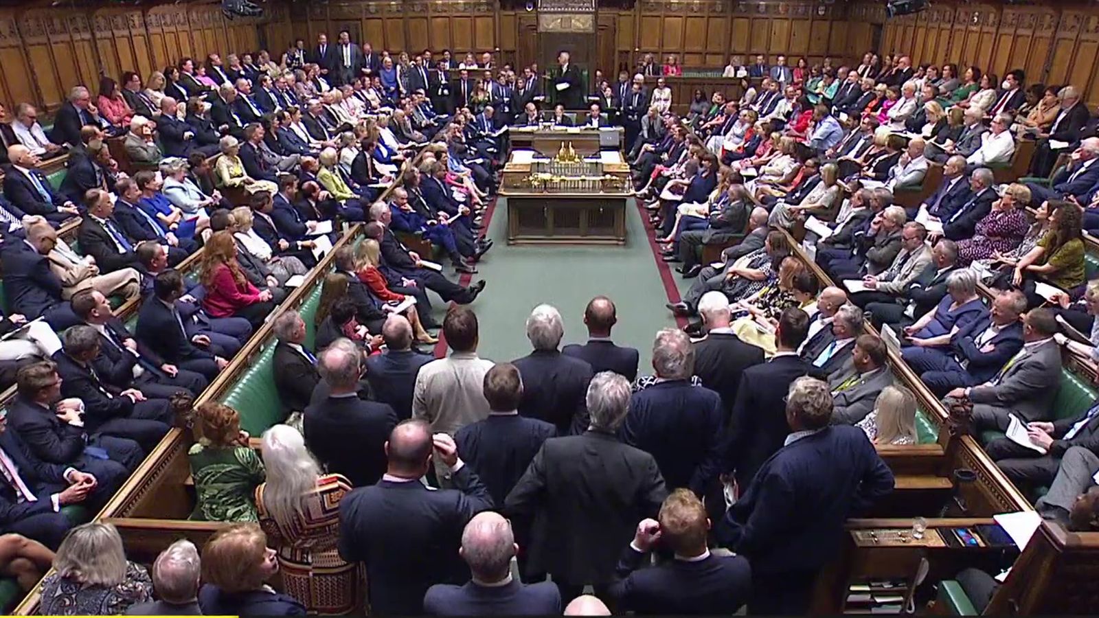 What does it mean for MPs to 'lose the whip' in Parliament?