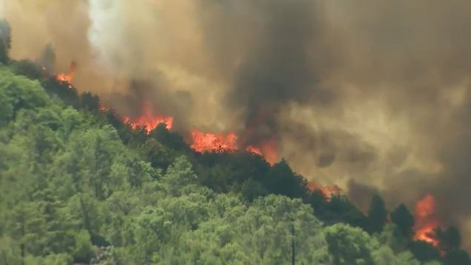 Kebakaran hutan Portugal melukai 29 orang saat suhu yang melonjak memicu peringatan |  berita Dunia