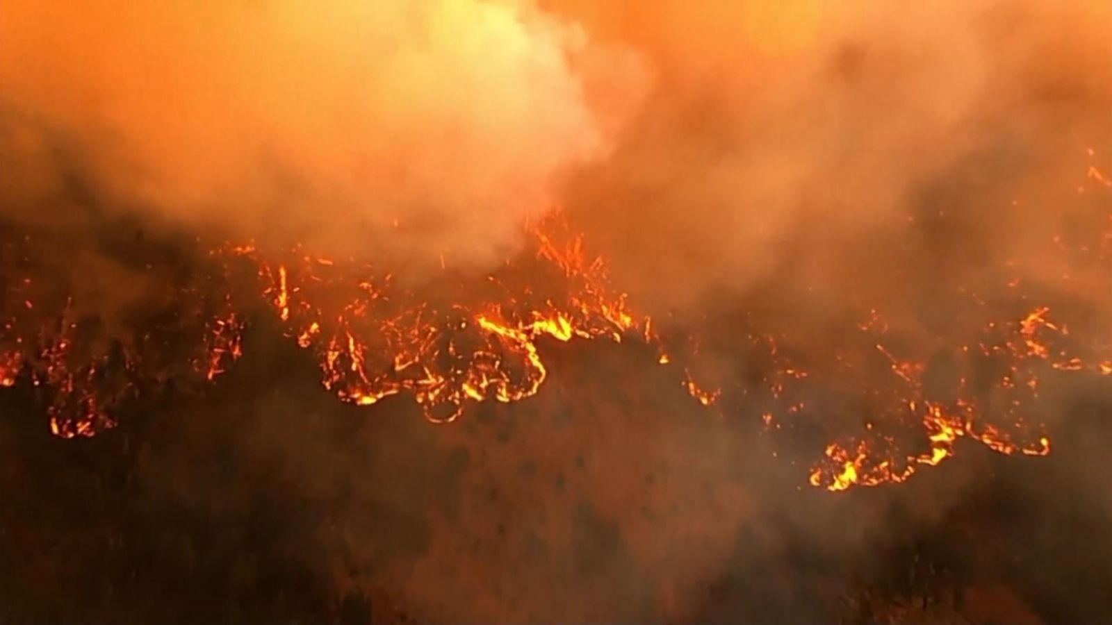 Wildfire Spreads Near Yosemite National Park California Us News Sky News 8661