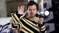 Harry Styles&#39;s latest performance in Copenhagen, Denmark, had to be cancelled following a fatal shooting nearby, leaving the singer &#39;devastated&#39;. File pic