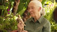 Undated handout photo issued by Mattel of Jane Goodall with the new Jane Goodall Barbie doll. Barbie, in partnership with the Jane Goodall Institute, is introducing a Dr. Jane Goodall doll, part of its Inspiring Women series. The Inspiring Women doll and career doll set are certified CarbonNeutral and made from recycled ocean-bound plastic and are available at mass retailers from Tuesday. Issue date: Tuesday July 12, 2022.