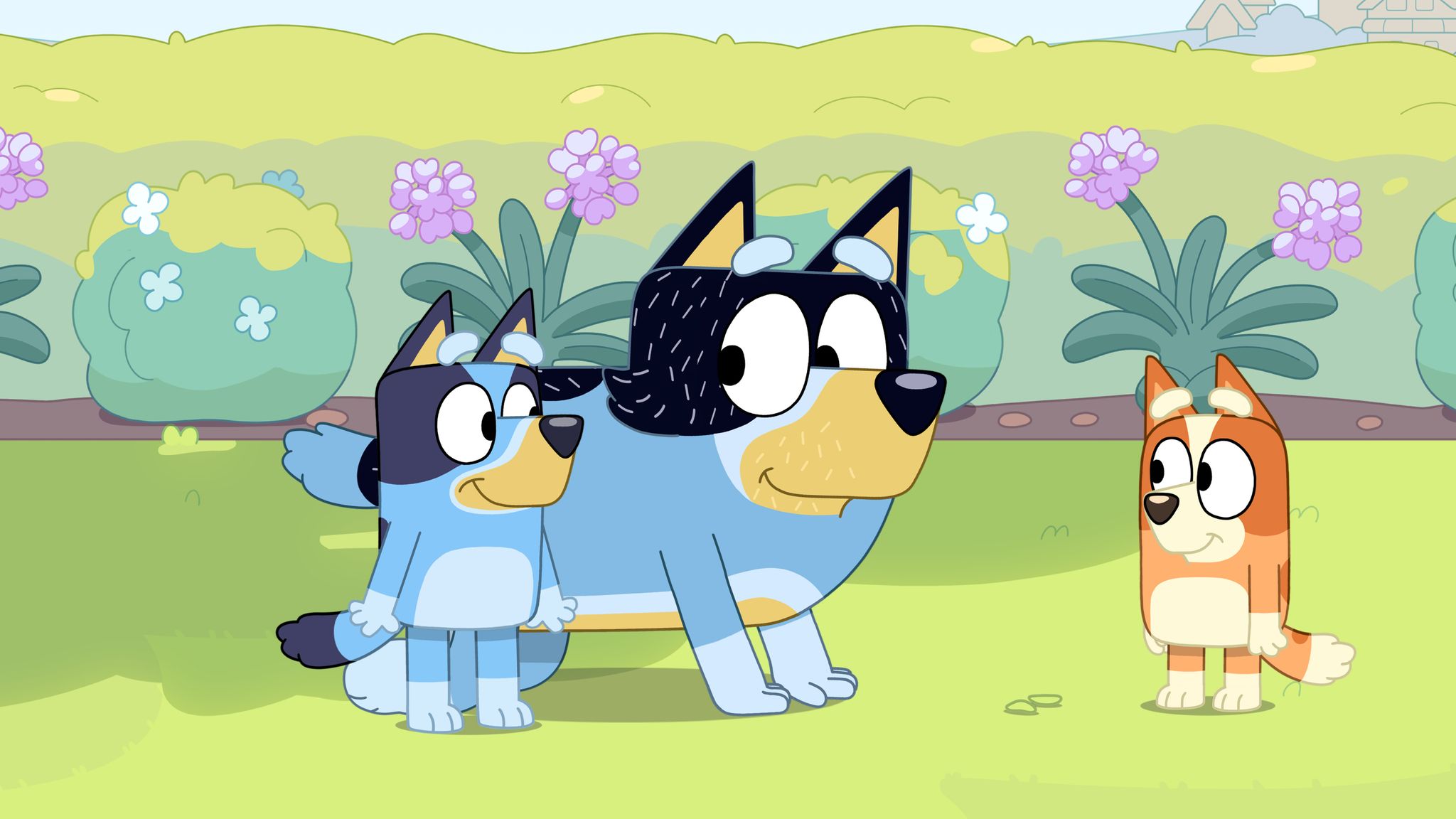 Bluey: Episode of ABC children's TV show edited over fat-shaming claims |  World News | Sky News