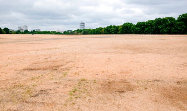 Hosepipe ban comes into effect for parts of UK ahead of another predicted heatwave - Vimarsana News